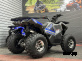Квадроцикл GBM DAXTER 220 NEW PREMIUM