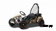 Багги MOTOLAND (МОТОЛЕНД) GOKART 100