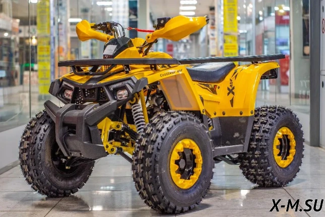 Квадроцикл TAO MOTORS ATV SHARK (125cc) - L