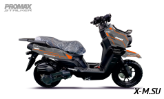 Скутер PROMAX STALKER 240(49)