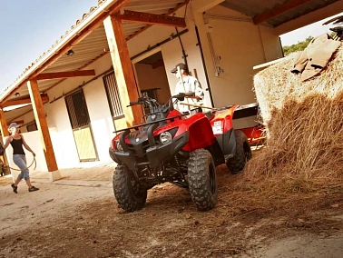 Квадроцикл YAMAHA REPLIKA Segway 300