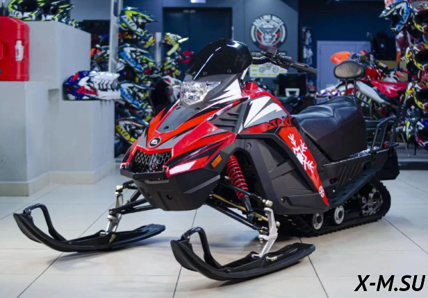 Снегоход Ataki WD 250