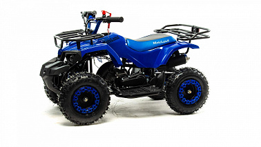 Квадроцикл MOTOLAND (МОТОЛЕНД) SCORPION 50E