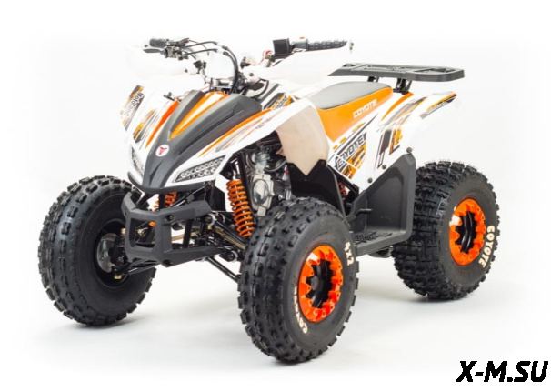 Квадроцикл MOTOLAND (МОТОЛЕНД) 125 COYOTE