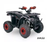 Квадроцикл  YACOTA SIRIUS 110			 			