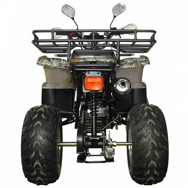 Квадроцикл MOTOLAND (МОТОЛЕНД) 250 ADVENTURE