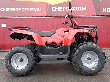 Квадроцикл IRBIS ATV 250