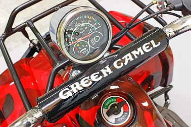 Квадроцикл GreenCamel Гоби K31 (36V 800W R6 Цепь) ножной тормоз